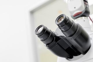 Mikroskope, Lupen, Lupenleuchten für Restaurierung und Handwerk
