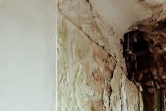 Hauswand - Schäden durch starke Feuchtigkeit